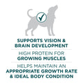 Purina ONE +Plus Large Breed Dry Puppy Food with Chicken - 14 kg Bag 🍁 All In One Marketplace Canada