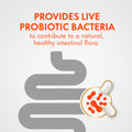 Align Probiotic, Women's Dual Action, Multi-Strain Probiotic, with Chaste Tree, Soothes Occasional Abdominal Discomfort, Gas, Bloating, 28 Capsules 🍁 All In One Marketplace Canada