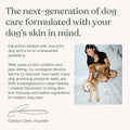 Dandylion Dog Paw Cleaner, Clean Paws, Dog Paw Washer, No Rinse Foam Cleaner for Dogs, Fragrance Free pH Balanced Foaming Washer with Silicone Brush, Pet Cleaning Supplies, 5 fl oz 🍁 All In One Marketplace Canada