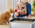 ZuHucpts Stainless Steel Cat Litter Box, Large Metal Litter Pan for Cats (20" Lx14 Wx6 H) 🍁 All In One Marketplace Canada