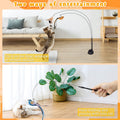 Cat Feather Toys, Cat Toys Wand, Interactive Cat Toy with Super Suction Cup, 2 PCS Cat Wand Toy and 6 PCS Feather Replacements with Bell, Interactive Cat Toy Kitten Toys for Indoor Play Chase Exercise (Natural) 🍁 All In One Marketplace Canada