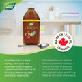 Nature's Way NutraSea Kids Omega 3 Fish Oil Liquid Supplement for Kids Ages 1 to 14 – Bubblegum Flavour – Brain & Eye Development – EPA & DHA, 500 mL Value Size 🍁 All In One Marketplace Canada