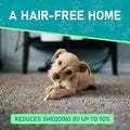 Maxpower Planet Pet Grooming Brush - Double Sided Shedding, Dematting (A1 Blue, Large) 🍁 All In One Marketplace Canada