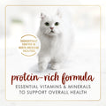 Fancy Feast Chunks Wet Cat Food, Beef Flavour in Gravy - 85 g Can (24 Pack) 🍁 All In One Marketplace Canada