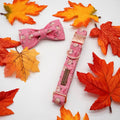 Pumpkin Dog Collar | Dog Halloween Collar