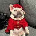 Dog Dress & Hat Set | Chewnel Tweed Dog Outfit