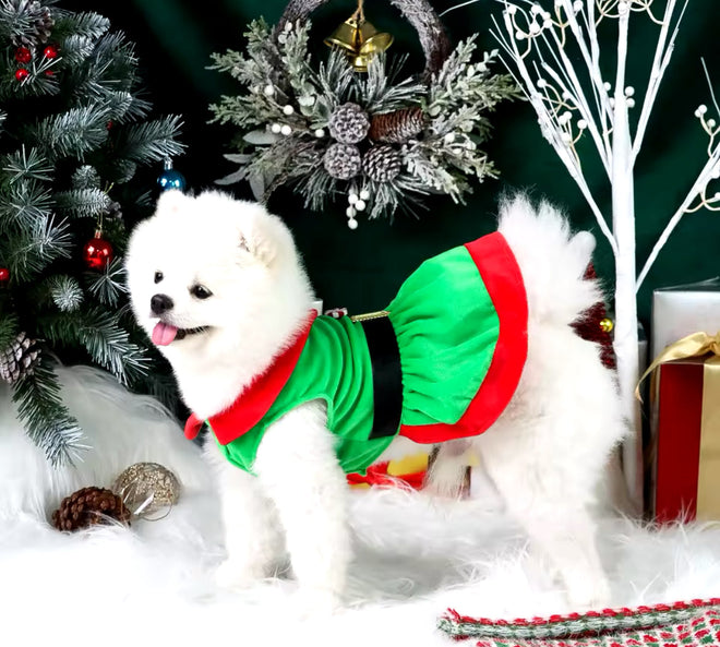Christmas Dog Dress – Festive Holiday Dress for Dogs