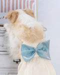 Griselda Dress