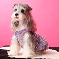 New Years Lover Sequin Dog Dress | Luxury Party Pet Dress