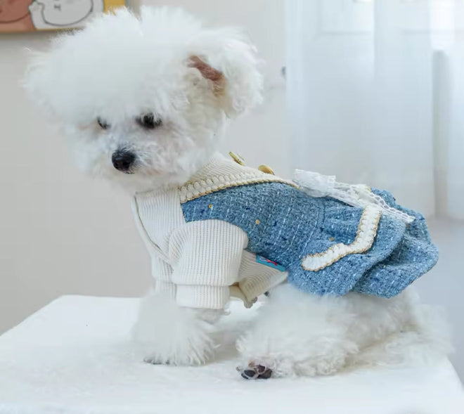 Stella Dog Dress | Dog Dress for Everyday Wear