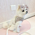 Dog Harness & Leash Set | Isabella Tweed Bow Walking Set