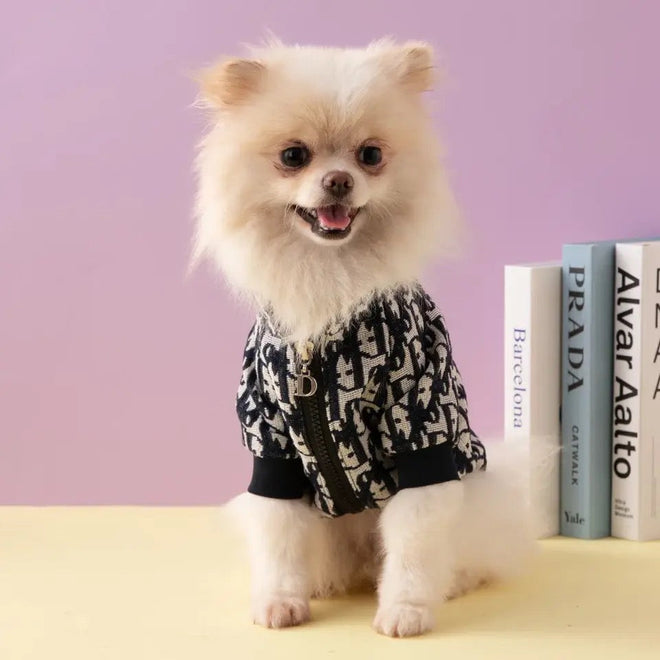 Dog Jacket | Dogior Dog Jacket