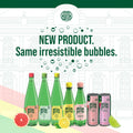 Maison Perrier Forever Blackberry, Sparkling Water Beverage, 24 x 330ml 🍁 All In One Marketplace Canada