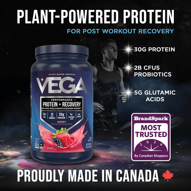 Vega Protein + Recovery, Berry – 30g Vegan Protein, Dairy & Gluten Free, Probiotics, NSF Certified, 801 g (19 Servings) 🍁 All In One Marketplace Canada