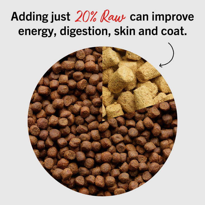 Stella & Chewy’s Freeze Dried Raw Super Beef Meal Mixer – Dog Food Topper for Small & Large Breeds – Grain Free, Protein Rich Recipe – 227g Bag 🍁 All In One Marketplace Canada
