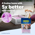 ScoopFree Premium Lavender Scent Crystal Litter, Superior Odor Control, Absorbs 5X Faster, Low Tracking for Less Mess, Lasts up to 2 Months, Lightly Scented (8 lb Bag) 🍁 All In One Marketplace Canada