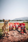 Stella & Chewy's Wild Red Dry Dog Food Raw Blend High Protein Grain & Legume Free Red Meat Recipe, 1.58kg Bag 🍁 All In One Marketplace Canada