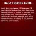 Purina ONE Wet Dog Food, Tender Cuts in Gravy Lamb & Rice 368g (12 Pack) 🍁 All In One Marketplace Canada