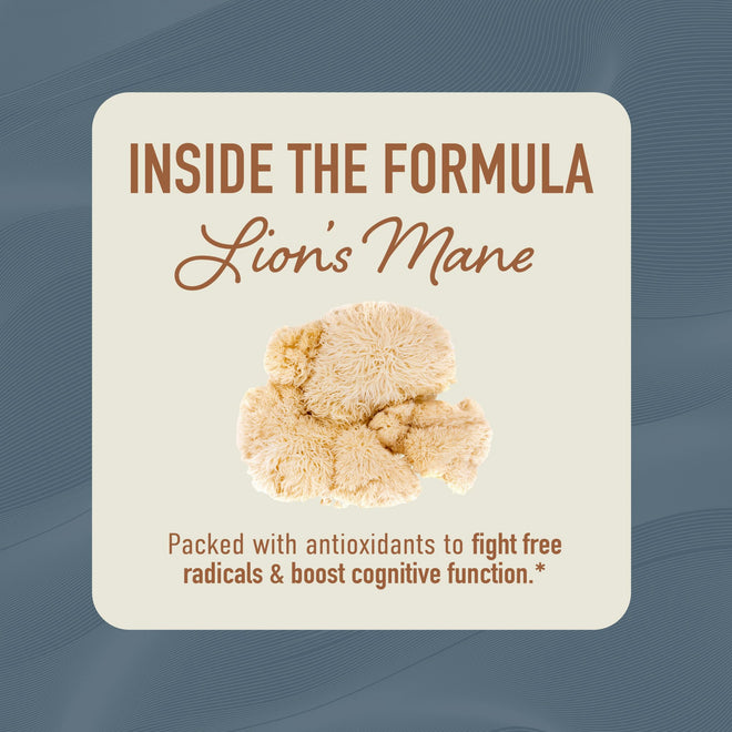 Lion’s Mane Supplement & Nootropic for Mental Clarity | 4 Month Supply | Performance & Memory Support | Antioxidant Rich & Immunomodulating Mushroom | Extra Strength Lions Mane 500mg | Non-GMO 120ct 🍁 All In One Marketplace Canada