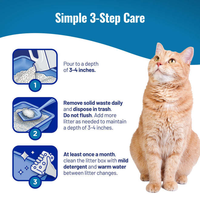 Cat's Pride Fresh and Light Premium Clumping Fragrance Free Scoopable Cat Litter Jug, 15-Pound 🍁 All In One Marketplace Canada
