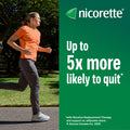 Nicorette 4mg Nicotine Gum, Fruit – Quit Smoking Aid with Fast Craving & Withdrawal Relief, Nicotine Replacement Therapy (NRT), 210 Pieces (Value Size) 🍁 All In One Marketplace Canada