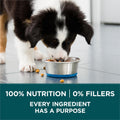 Purina ONE +Plus Large Breed Dry Puppy Food with Chicken - 14 kg Bag 🍁 All In One Marketplace Canada