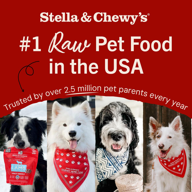 Stella & Chewy’s Freeze Dried Raw Super Beef Meal Mixer – Dog Food Topper for Small & Large Breeds – Grain Free, Protein Rich Recipe – 992g Bag 🍁 All In One Marketplace Canada