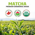 Organic Matcha Green Tea Powder – Ceremonial Grade – 50g Tin | Premium Japanese Green Tea | Smooth & Vibrant | Superfood for Lattes, Smoothies & Baking 🍁 All In One Marketplace Canada