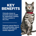 Hill's Science Diet Adult Urinary and Hairball Control Stew Wet Cat Food, 2.9-oz can, case of 12 🍁 All In One Marketplace Canada