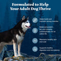 Blue Buffalo Wilderness with Chicken High-Protein Grain-Free Adult Dry Dog Food, 34g Protein, Supports Immunity with Antioxidant-Rich LifeSource Bits, Promotes Healthy Muscle Development, 24 lbs. 🍁 All In One Marketplace Canada