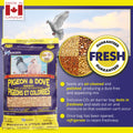 Hagen Pigeon and Dove Staple VME Seeds, 6-Pounds 🍁 All In One Marketplace Canada