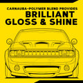 Meguiar's Gold Class Carnauba Plus Premium Liquid Wax Kit, Car Detailing Kit with a Pure Carnauba Wax Blend and a Foam Applicator Pad for Keeping Glossy Paint Protected Like a Pro, 16 Oz Bottle 🍁 All In One Marketplace Canada