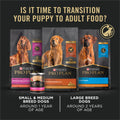 Pro Plan Dry Puppy Food, Development, Chicken & Rice 15.4 kg 🍁 All In One Marketplace Canada