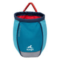 Kurgo Dog Training Treat Pouch Bag, Treat Bags for Dogs, Portable Pet Pocket Waist Clip Bag, Reflective Snack Bag for Pets, Includes Clip and Carabiner, Go Stuff-it Bag, Coastal Blue 🍁 All In One Marketplace Canada