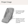 UPPAbaby Infant Snug Seat/Compatible with Vista and Cruz Strollers / 2 in 1 Newborn to Toddler Comfort Insert 🍁 All In One Marketplace Canada
