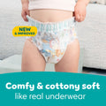 Pampers Easy Ups Training Underwear Boys Size 8 6T-7T, 58 Count 🍁 All In One Marketplace Canada