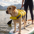 Outward Hound Granby Splash Dog Life Jacket with Handle, Reflective Floating Vest for Swimming & Boating, Maximum Buoyancy, All Skill Levels, Large Dogs (28–32" Girth), Yellow, Large 🍁 All In One Marketplace Canada