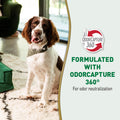 Nature's Miracle Urine Destroyer Plus For Dogs With Flip & Go Sprayer, 64 Ounces, Enzymatic Formula For Dogs Powers Out Tough Dog Urine Messes And Yellow, Sticky Residue 🍁 All In One Marketplace Canada
