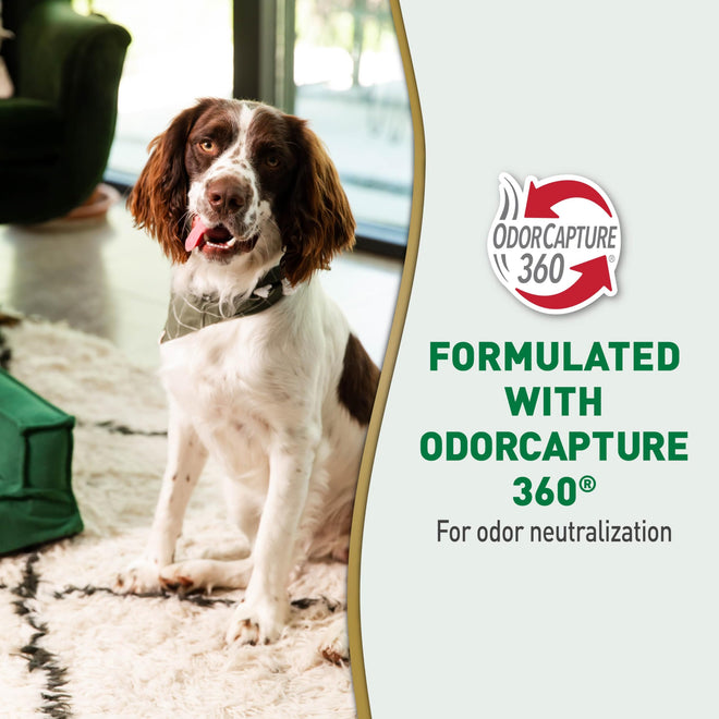 Nature's Miracle Urine Destroyer Plus For Dogs With Flip & Go Sprayer, 64 Ounces, Enzymatic Formula For Dogs Powers Out Tough Dog Urine Messes And Yellow, Sticky Residue 🍁 All In One Marketplace Canada