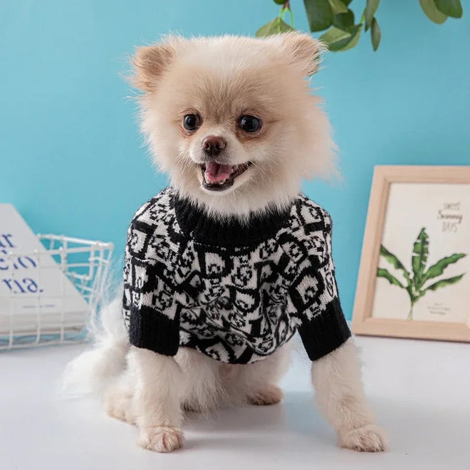 Dogior Signature Dog Sweater | Cozy Everyday Dog Clothing