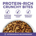 Purina ONE +Plus Dry Cat Food, Hairball Formula Chicken - 3 kg Bag 🍁 All In One Marketplace Canada