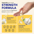 Kyolic Formula 104 Aged Garlic Extract, Odourless Garlic, 360 Capsules 🍁 All In One Marketplace Canada