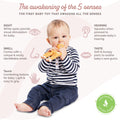 Fanfan The Fawn - Sophie la girafe's New Friend - Soft Natural Rubber - BPA-Free Teething Toy for Babies from Birth 🍁 All In One Marketplace Canada