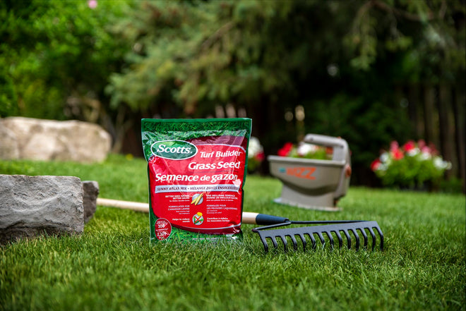 Scotts Turf Builder Grass Seed Sunny Areas Mix, 1kg (246 sq Meters / 2,648 sq feet Coverage) | Formula for overseeding or Growing a new, Thick Lawn in Sunny Areas 🍁 All In One Marketplace Canada