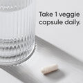 Sports Research® Vitamin C 1000mg - Non-GMO Project Verified Ascorbic Acid Vitamin C Supplement for Immune Support & Antioxidant Protection | Vegan Friendly, 8 Month Supply (240 Count) 🍁 All In One Marketplace Canada