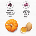 Beyond Superfood Blend Natural Dry Dog Food, Wild Caught Salmon, Egg & Pumpkin - 10.2 kg Bag 🍁 All In One Marketplace Canada