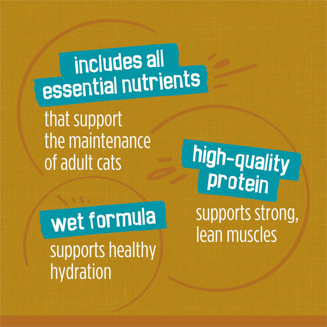 Friskies Tasty Treasures Wet Cat Food, Poultry & Fish Combo Variety Pack 3 Flavours - 156 g Can (24 Pack) 🍁 All In One Marketplace Canada