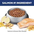 Hill's Science Diet Adult Perfect Digestion Salmon, Brown Rice & Whole Oats Recipe Dry Cat Food 5.89 kg Bag 🍁 All In One Marketplace Canada