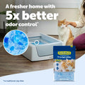 ScoopFree Premium Fresh Scent Crystal Litter, Superior Odor Control, Absorbs 5X Faster, Low Tracking for Less Mess, Lasts up to 2 Months, Lightly Scented (8 lb Bag) 🍁 All In One Marketplace Canada