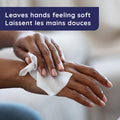 Wet Ones Vitamin E and Aloe Hand Wipes, Wet Wipes, 20 Count (10 pack) 🍁 All In One Marketplace Canada